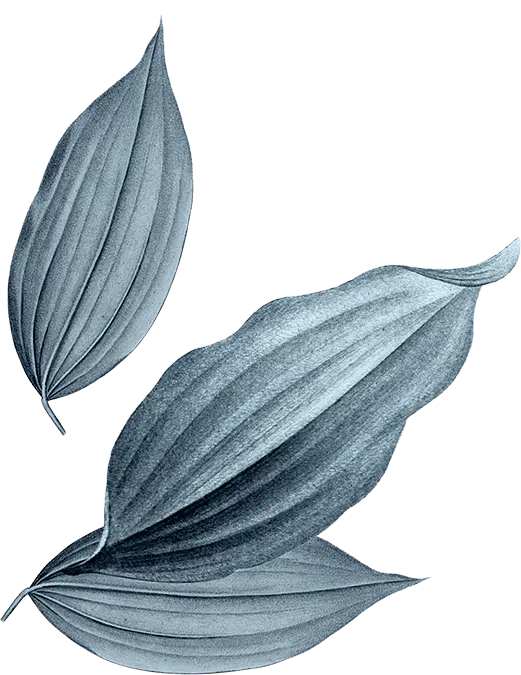 contacter assistante secrétaire freelance sur Calais