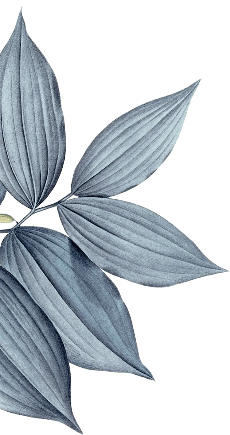 services secrétaire administrative sur calais boulogne sur mer